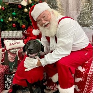 Meet your Posher, Megan!